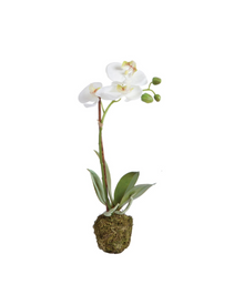  Faux Single Stem Orchid Drop In - 15"