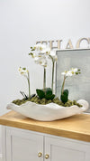 Aria Organic Bowl - Large