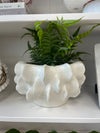 Teddy Planter