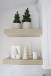 Potted Pine Tree - 3 Sizes Available