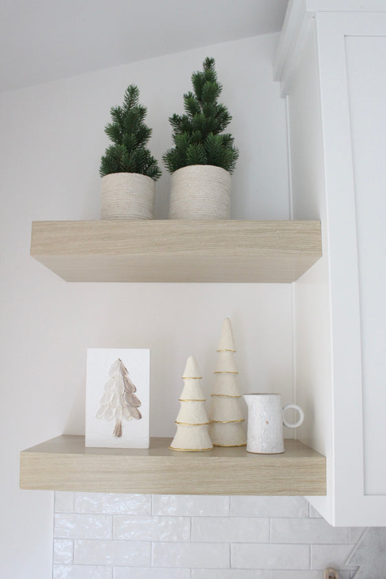 Potted Pine Tree - 3 Sizes Available