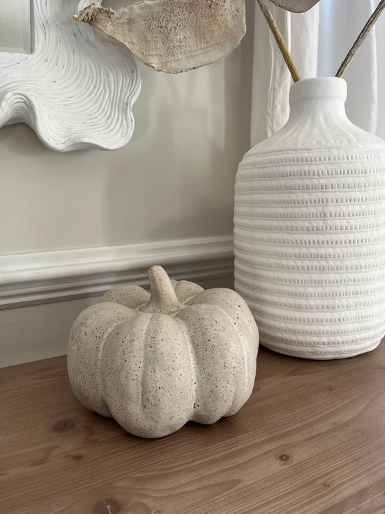 Whitewash Ceramic Pumpkins