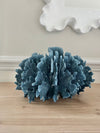 Large Blue Coral