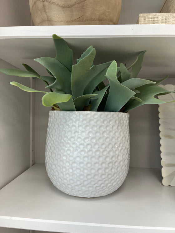 Gina Ceramic Pots