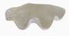 Tan Shell Bowl - 2 Sizes Available
