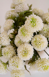 White Mum Bundle