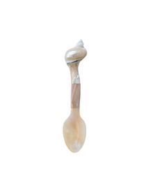  Shell Serving Spoon