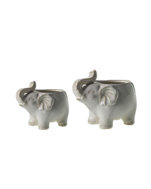  Elephant Planter - 2 Sizes Available