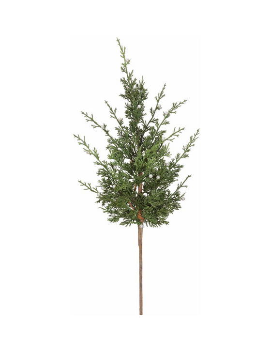 Pearl Cedar Spray