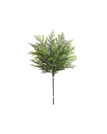  Cedar Stem - 26"