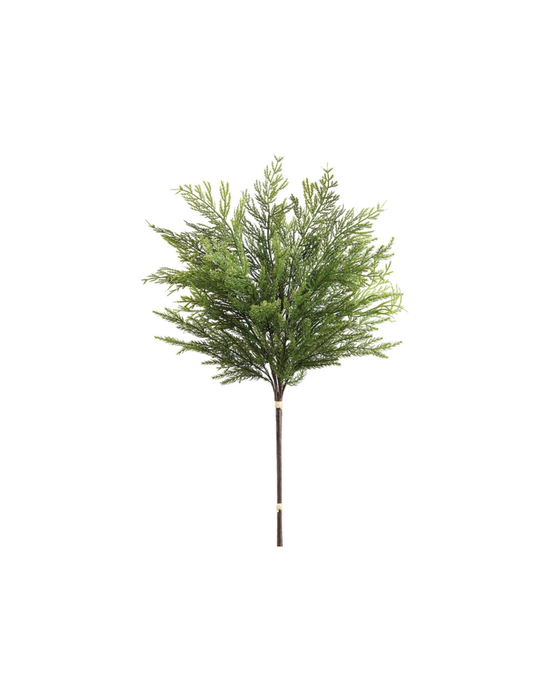 Cedar Stem - 26"