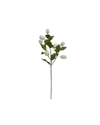24" Hops Stem - White