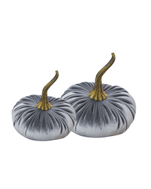  Gray Velvet Pumpkin - 2 Sizes Available