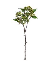  Fall Sedum Branch