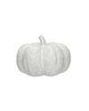 Whitewash Ceramic Pumpkins