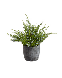  Potted Faux Juniper Plant