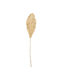  Brisbane Leaf - Small