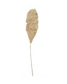  Brisbane Leaf - Large