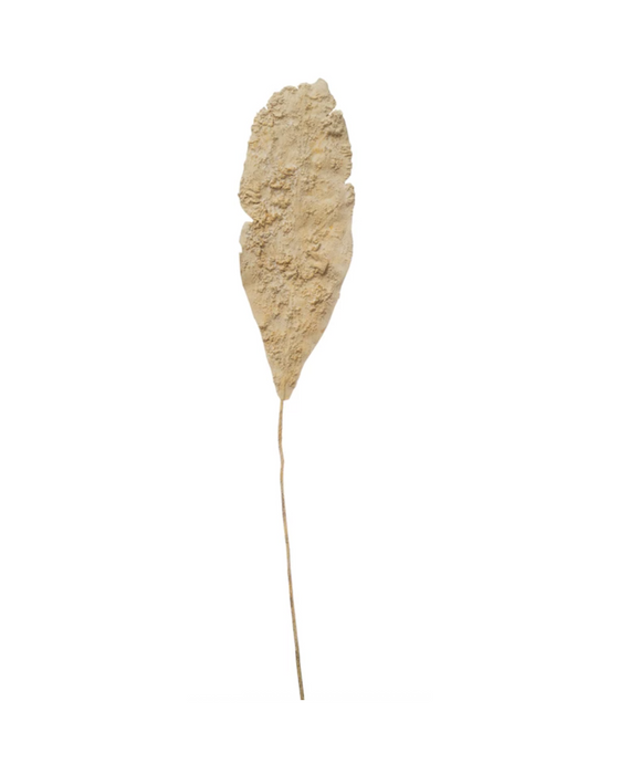 Brisbane Leaf - Large