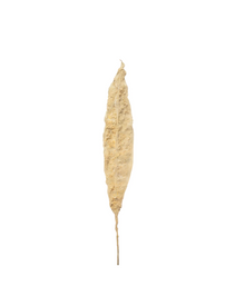  Brisbane Leaf - Medium