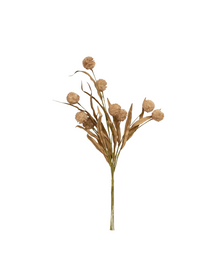  Fall Grass Spray