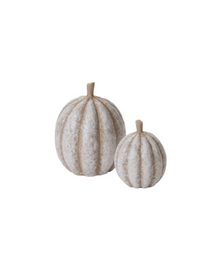  Mini Neutral Pumpkins