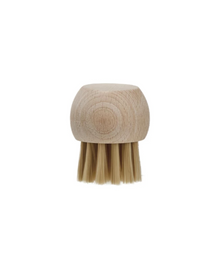  Mini Beech Wood Brush