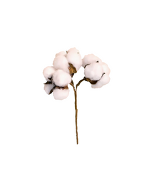  Cotton Ball Pick