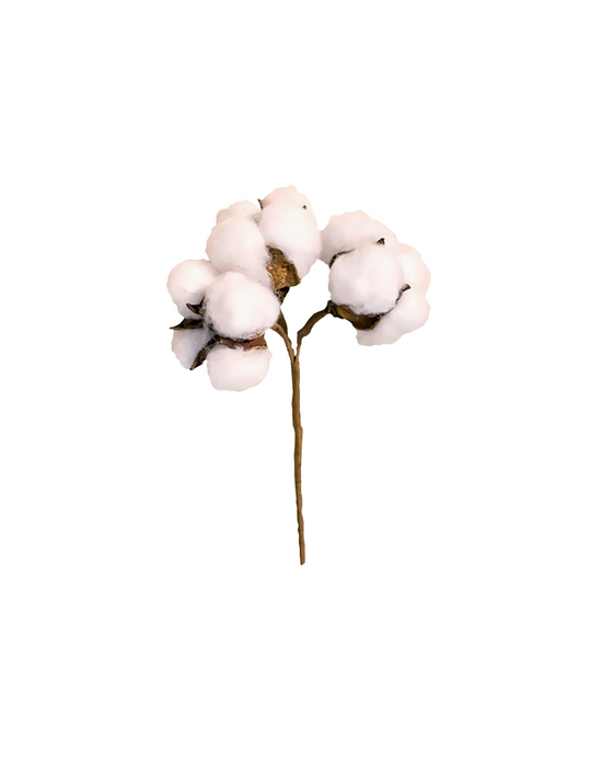 Cotton Ball Pick