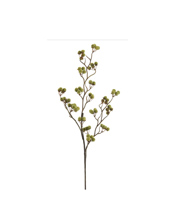 PomPom Holiday Branch