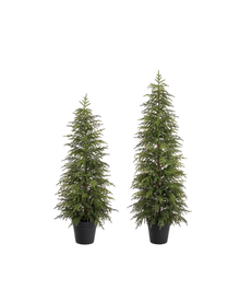  Potted Pine Tree - 2 Sizes Available