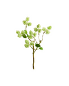 Green Mini Snowball Branch