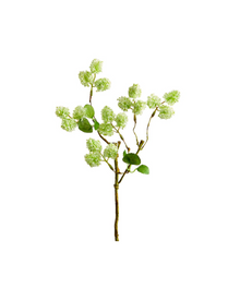  Green Mini Snowball Branch