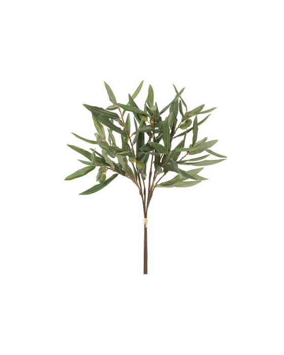 Mini Olive Branch Bundle