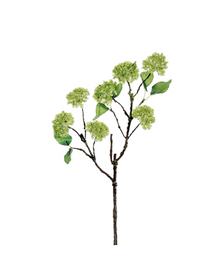  Green Snowball Branch - 20"