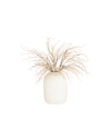 White Plume Spray