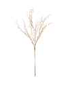 White Plume Spray
