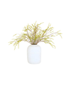 Green Willow Spray