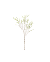 Green Willow Spray