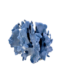  Large Blue Coral