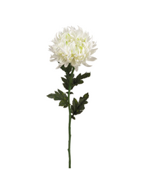  White Mum Stem - 24"