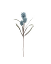 Blue Thistle Branch