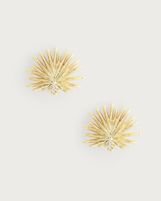 Palm Stud