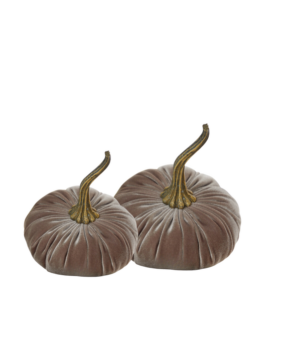 Tan Velvet Pumpkin - 2 Sizes Available
