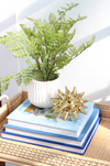 Faux Potted Ferns