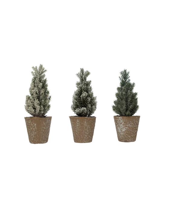 Mini Trees in Paper Pot