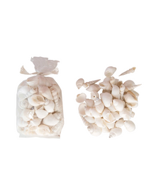  Mini Bag of White Seashells