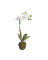 Faux Single Stem Orchid Drop In - 15"