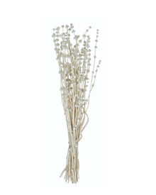  Dried Floral Bunch - Ivory